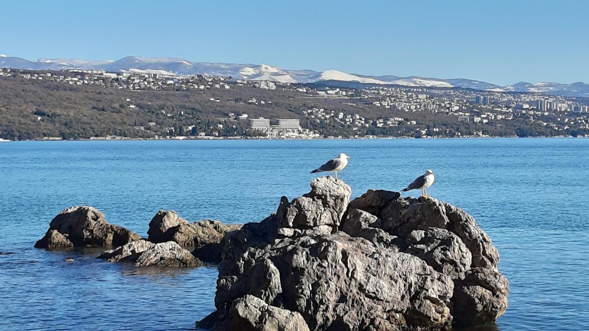 Apartman Dora Οπατία Εξωτερικό φωτογραφία